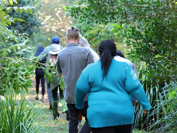 A small group walking a rainforest track in Bangalow Parklands