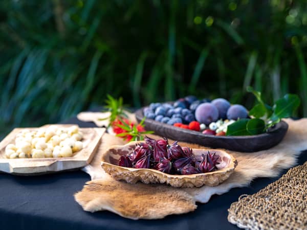 Native fruits, nuts and flowers laid out for a bush-food tasting near Byron Bay