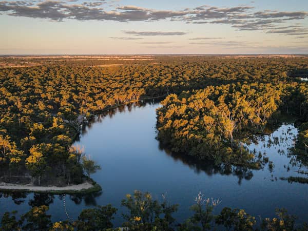 The Murray River winding through red gum forest at sunset